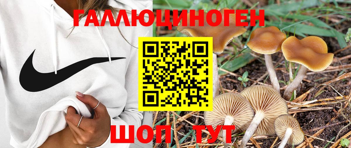 Галлюциногенные грибы Magic Shrooms Выборг