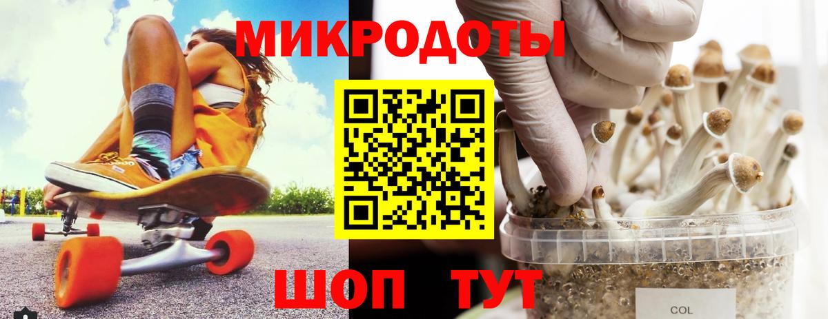Выборг  Галлюциногенные грибы Psilocybe  Псилоцибиновые грибы Psilocybine cubensis  Вход с VPN 